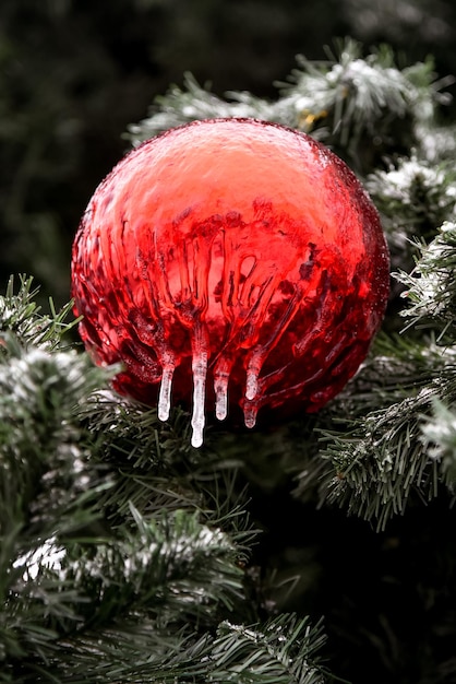 Une boule de Noël sur un arbre de Noël en glace.