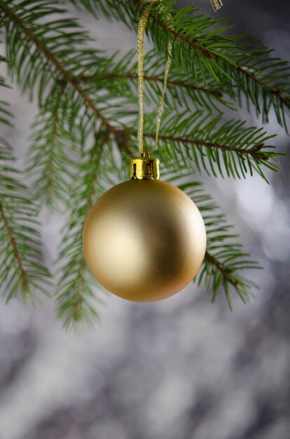 Boule de Noël mat doré sur une branche d'épinette verte