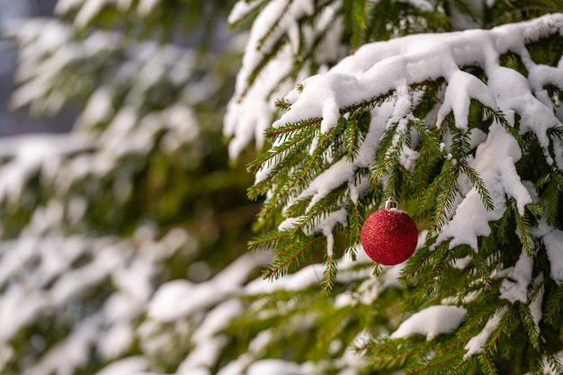 Boule de Noël rouge accrochée à une branche d'arbre de Noël recouverte de neige Mise au point sélective