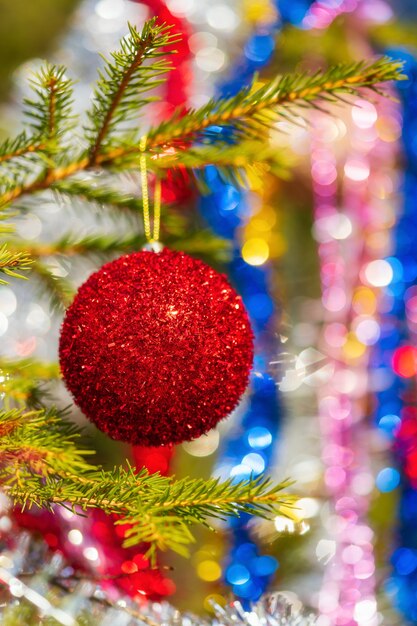 Boule de Noël rouge brillante accrochée à une branche de pin de Noël. Gros plan d'ornement de vacances pour la bonne année. Flou sélectif au premier plan, bokeh à bulles floues colorées sur l'arrière-plan.