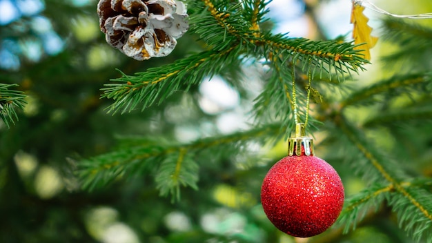 Une boule de Noël rouge est accrochée à la branche verte du sapin de Noël. Nouvel An, Noël, voeux