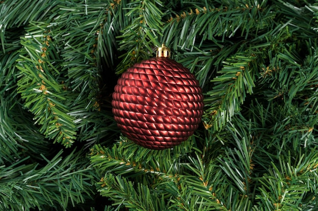 Boule De Noël Rouge Isolée Sur Les Branches D'arbres De Noël.