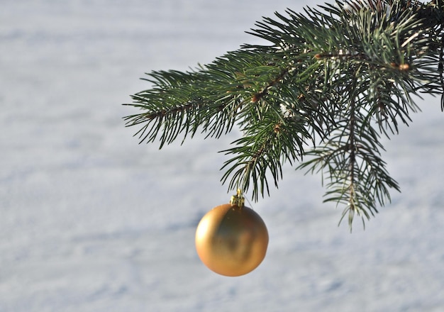 La boule d'or sur une branche du sapin de Noël