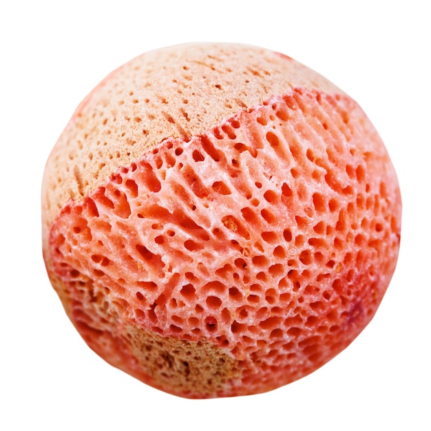 Boule de pierre précieuse de corail éponge rose isolée