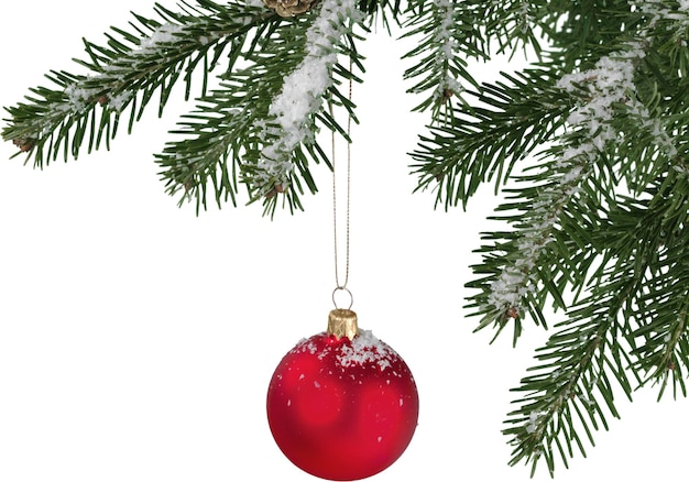 Boule rouge sur le sapin de Noël vert