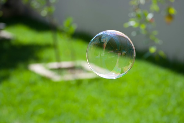 Boule de savon dans le jardin