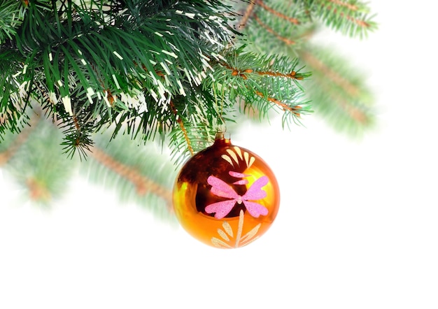 Boule en verre de décoration de Noël sur des branches de sapin. Isolé