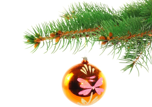 Boule en verre de décoration de Noël sur des branches de sapin. Isolé