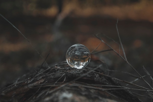 Photo une boule de verre est posée sur un rondin dans les bois.