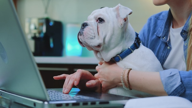 Bouledogue blanc assis sur les genoux de la femme pendant qu'elle tape sur ordinateur