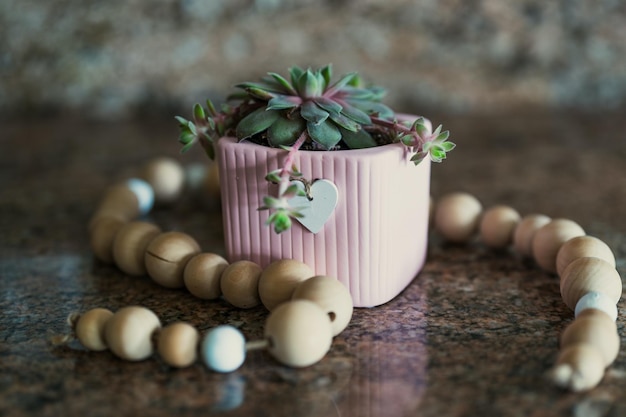 boules en bois arrondies avec des pots de plantes