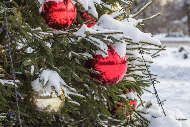 Boules colorées sur un sapin couvert de neige