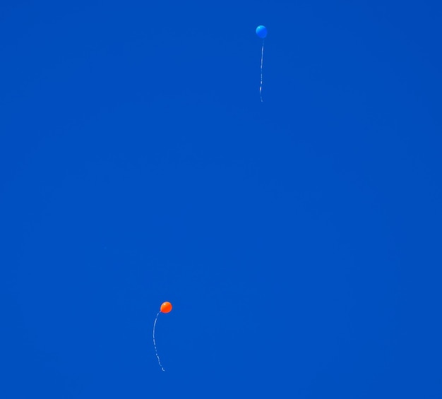 Des boules multicolores remplies d'hélium volent dans le ciel bleu