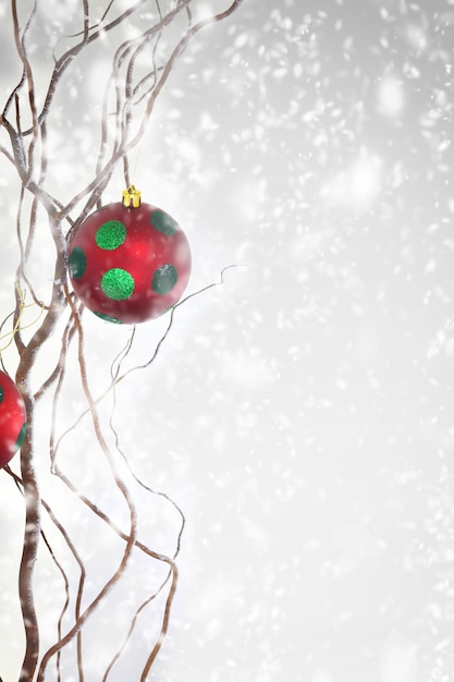 Boules de Noël accrochées à une branche enneigée