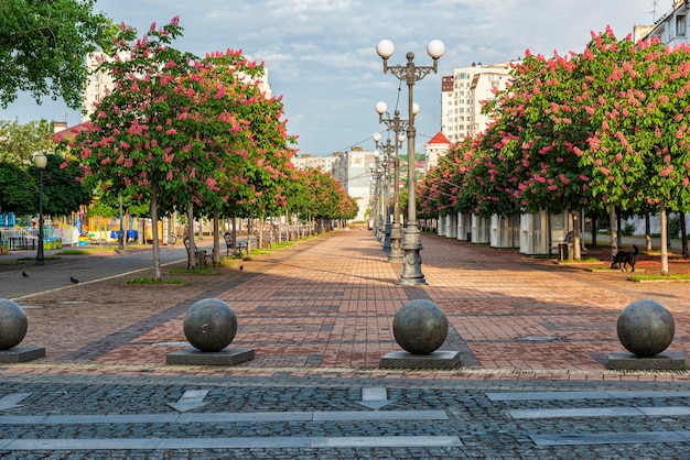 Boulevard Chernyakhovsky avec châtaignes en fleurs à Novorossiysk