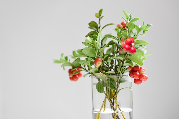 Bouquet d'airelles aux fruits rouges sur blanc