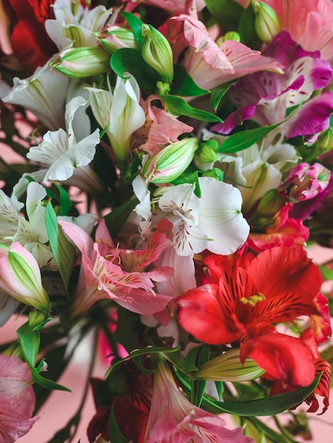 Bouquet d'alstroemerias rose blanc rouge et violet gros plan