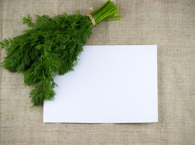 Bouquet d'aneth avec du papier vierge