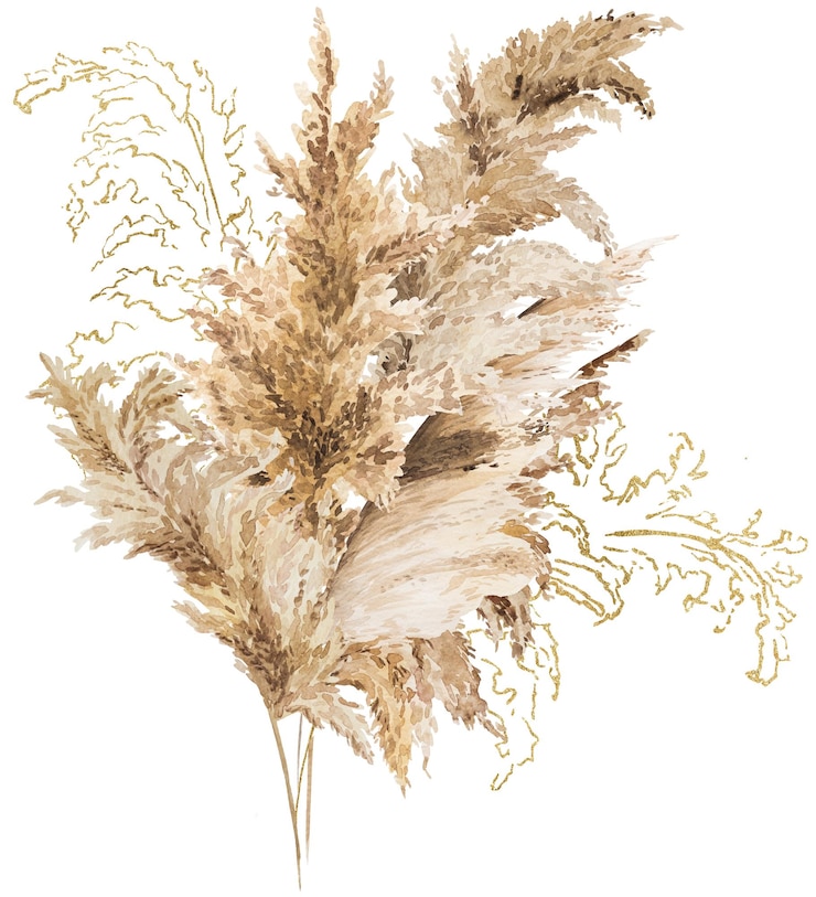 Photo bouquet avec aquarelle beige brun et doré herbe de pampas boho illustration isolée de mariage