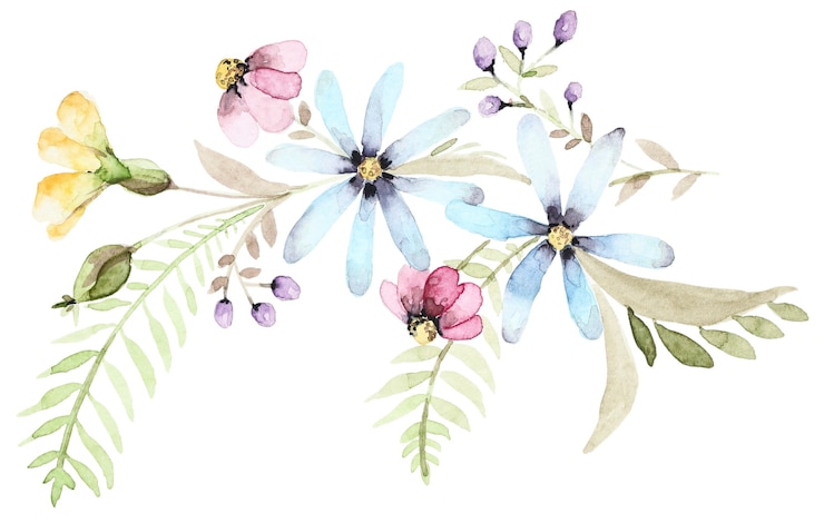 Photo bouquet aquarelle de fleurs sauvages. composition de printemps botanique. ensemble dessiné main fleur
