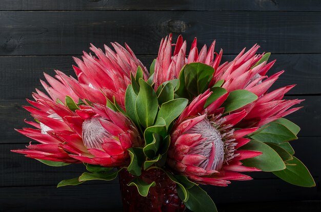 Bouquet d&#39;artichaut rouge protea sur un fond sombre en bois