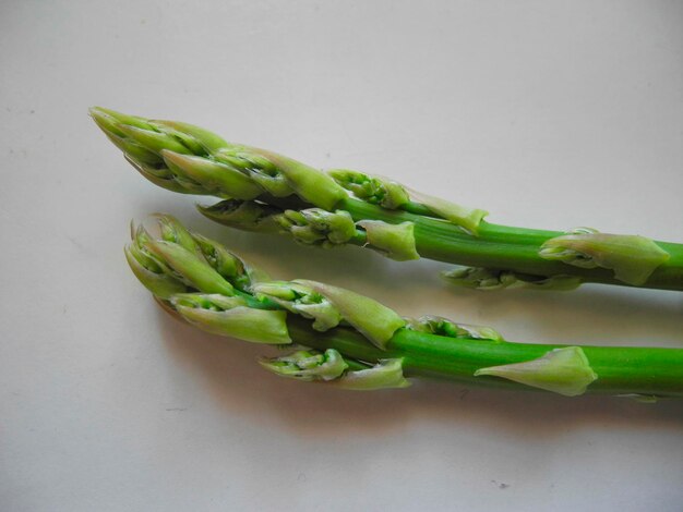 Bouquet d'asperges Asparagus officinalis