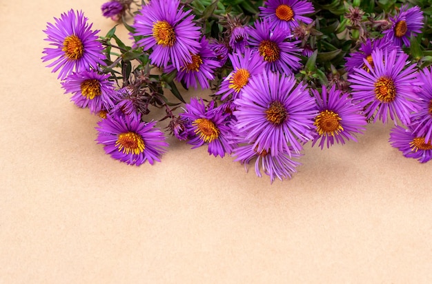 Bouquet d'asters d'automne mignons et lumineux de couleur violette avec espace de copie