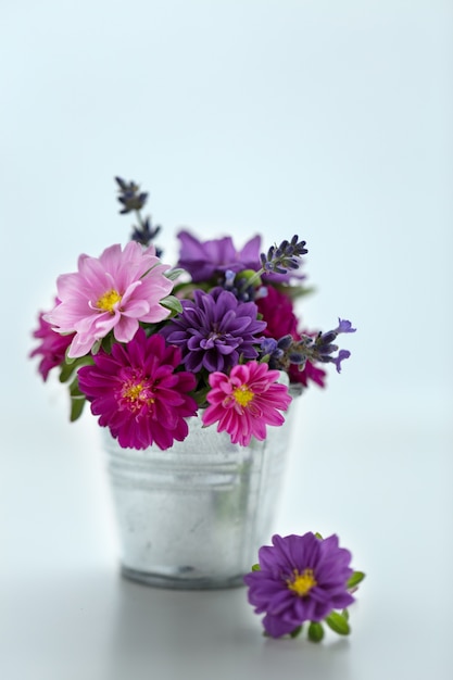 Bouquet d'asters dans un petit seau