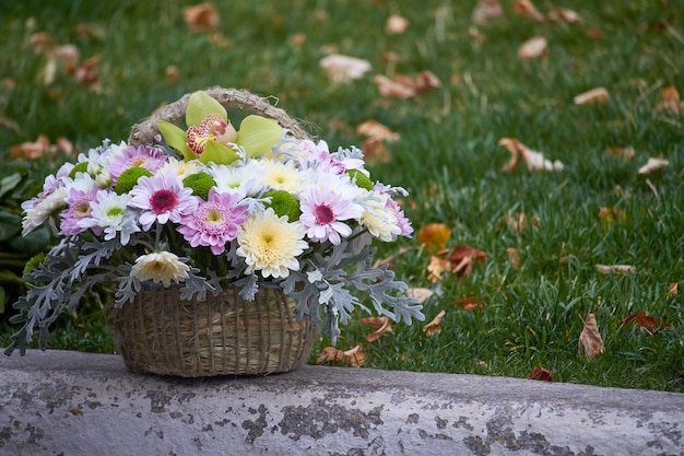 Bouquet d'automne de chrysanthèmes multicolores dans un panier sur un fond d'herbe verte