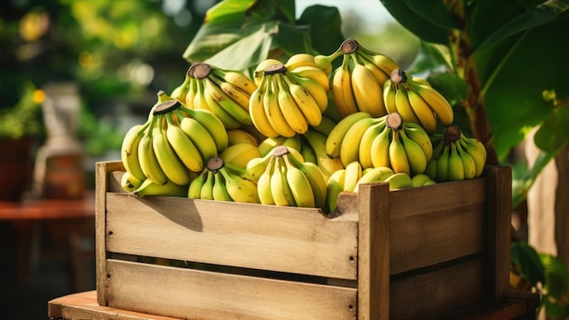 Un bouquet de bananes dans une boîte en bois sur un fond flou