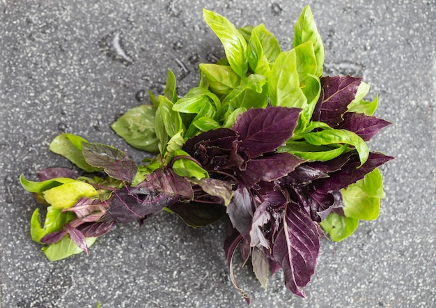 Bouquet de basilic sur fond gris