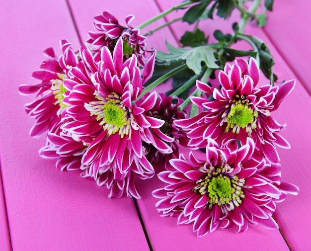 Bouquet de beaux chrysanthèmes sur table closeup