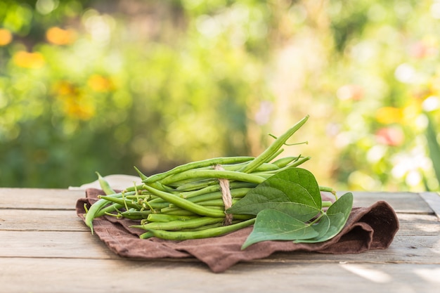 Bouquet de beens verts sur la nature verte