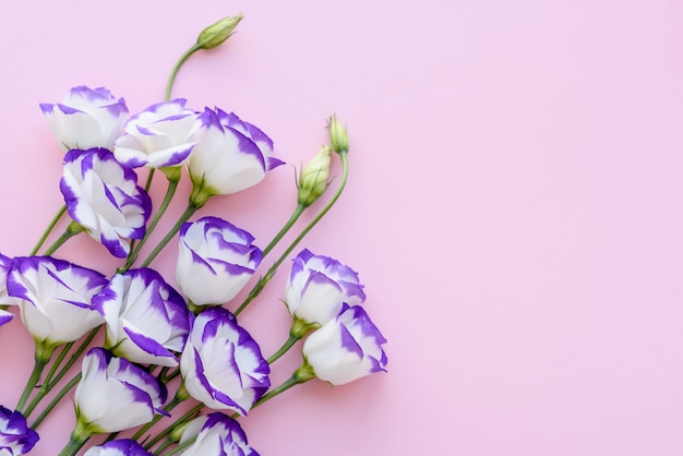 Un bouquet de bel eustoma violet fraîchement coupé sur un fond d'une tonne. Fond avec de belles couleurs