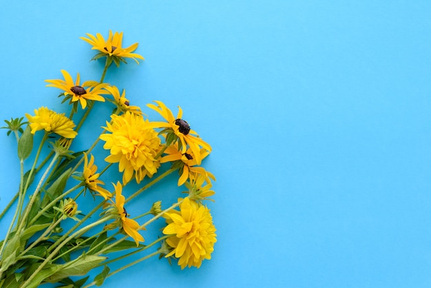 Un bouquet de belles fleurs jaunes fraîchement coupées sur fond bleu. Belles fleurs d'été jaunes