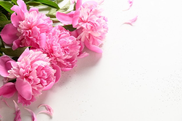 Bouquet de belles fleurs de pivoine rose sur blanc