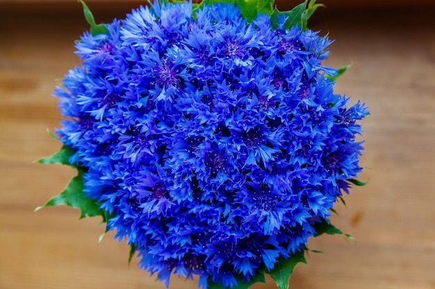 Un Bouquet De Belles Fleurs De Printemps Bleu Bleuet Cyanus Sur La Fenêtre. Motif De Fleurs Bleues. Macrophotographie.