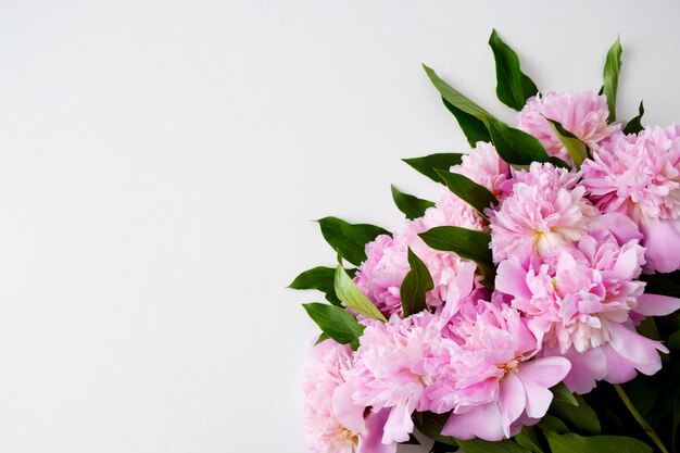 Bouquet de belles pivoines rose pastel fraîchement coupées