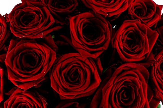 Bouquet de belles roses attachées avec un ruban rouge. Studio photo.