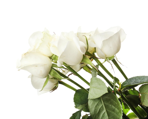Bouquet de belles roses isolé sur blanc