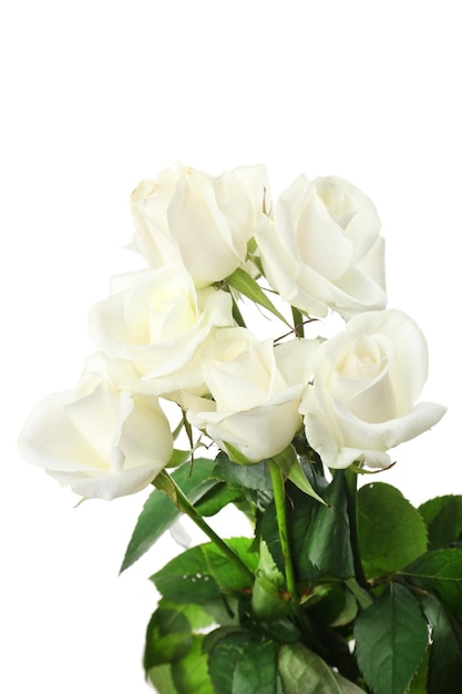 Bouquet de belles roses isolées sur blanc
