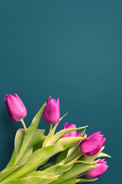 Bouquet de belles tulipes sur fond de bois des tulipes sur de vieilles planches