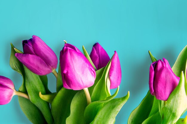 Bouquet de belles tulipes sur fond de bois des tulipes sur de vieilles planches