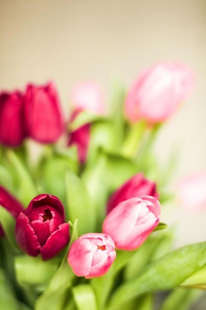 Bouquet de belles tulipes fond floral