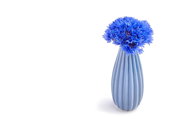 Bouquet de bleuets frais bleu dans un vase en céramique bleu isolé sur fond blanc, copie spce