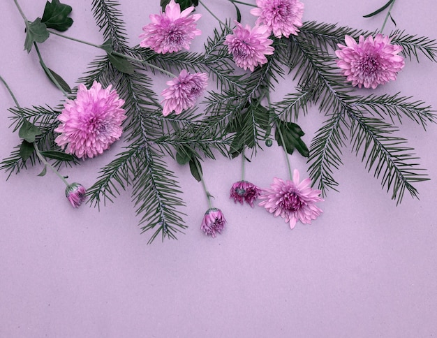 Bouquet de brins d'épinette et de fleurs de chrysanthème sur fond violet avec espace de copie