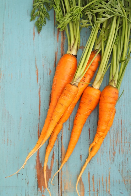 Bouquet de carottes sur un fond bleu en bois