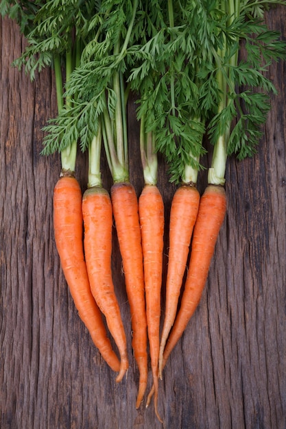 Bouquet de carottes fraîches aux feuilles vertes