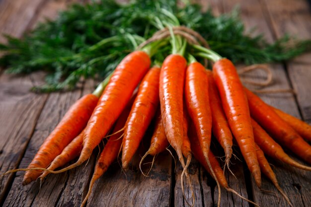 Bouquet de carottes fraîches aux feuilles vertes