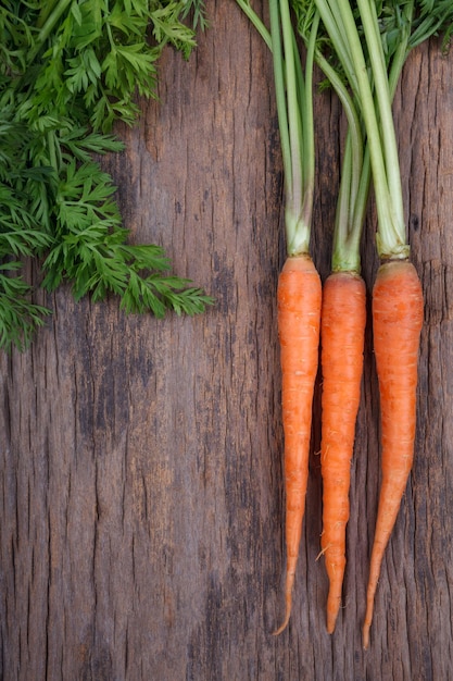 Bouquet de carottes fraîches avec des feuilles vertes sur fond en bois